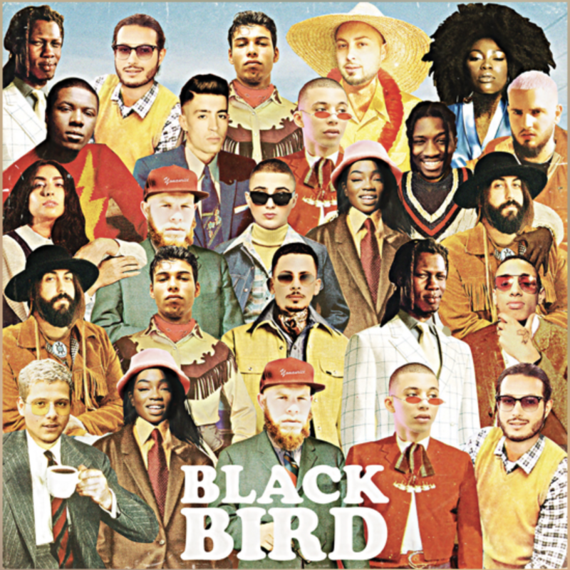 Blackbird-DJ-Elite