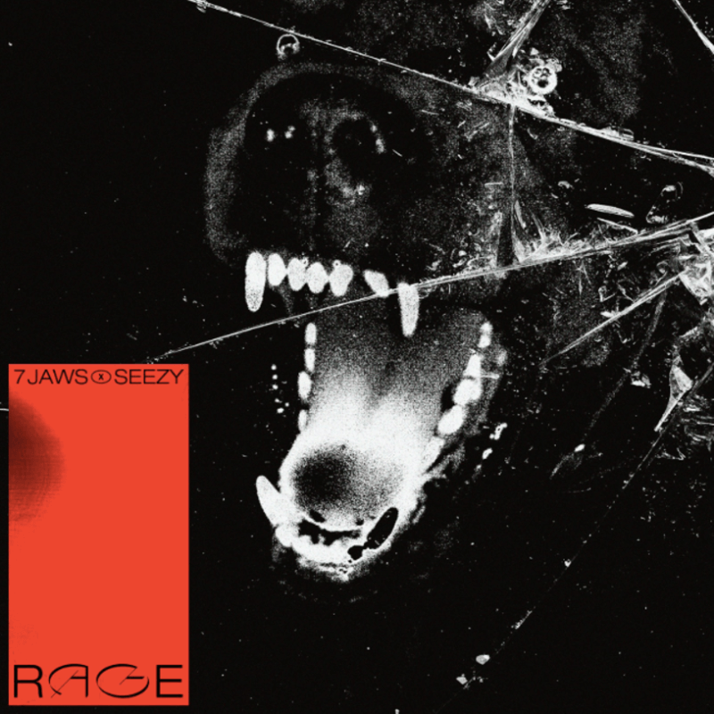 rage-pochette